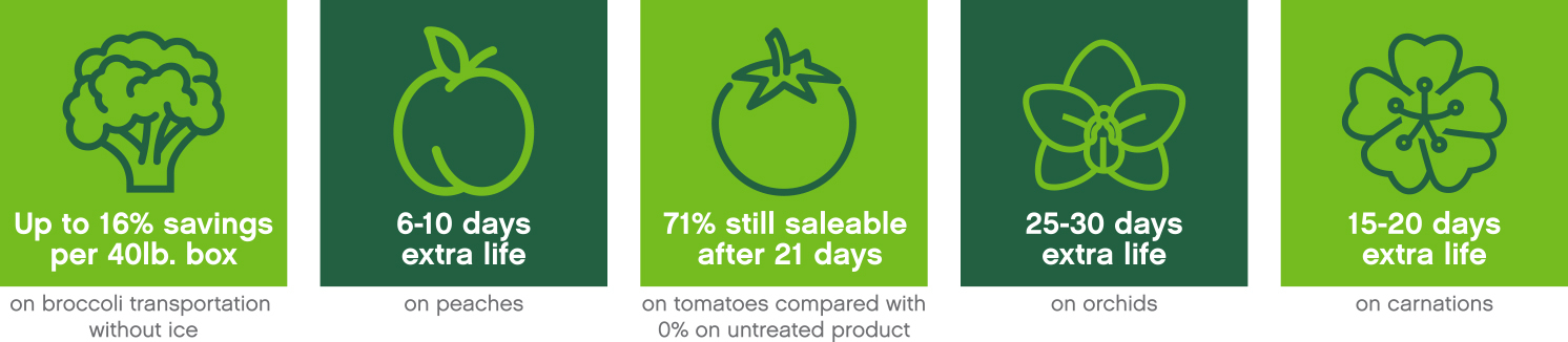 Products Infographic 090420
