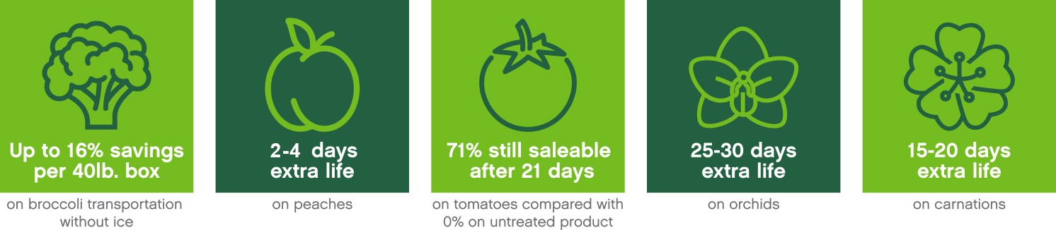 Products-Infographic-090420